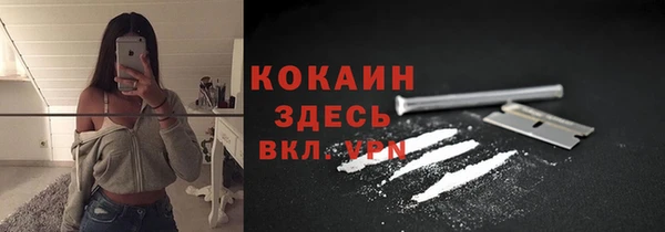 индика Алексин