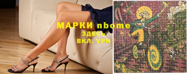 индика Алексин
