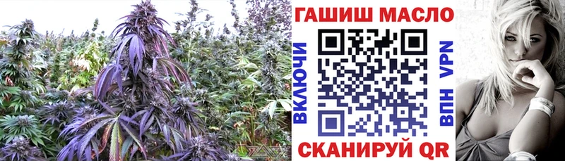 купить наркотики цена  Нюрба  площадка клад  ТГК вейп с тгк 